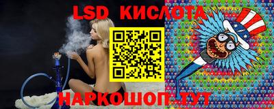 крисы Малгобек