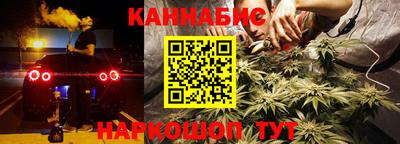 крисы Малгобек
