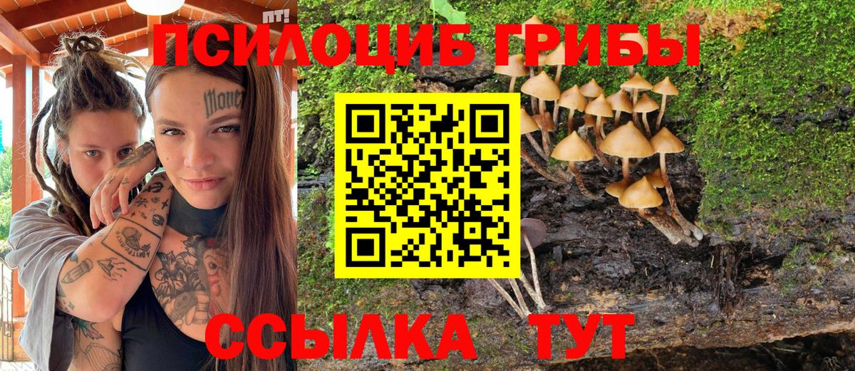 Псилоцибиновые грибы Psilocybe  Вход с VPN  Волгодонск 
